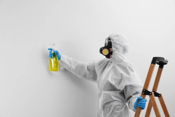 Best Biohazard Mold Removal  in USA